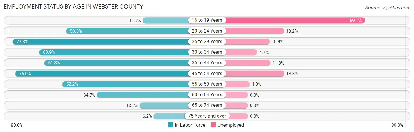 Employment Status by Age in Webster County