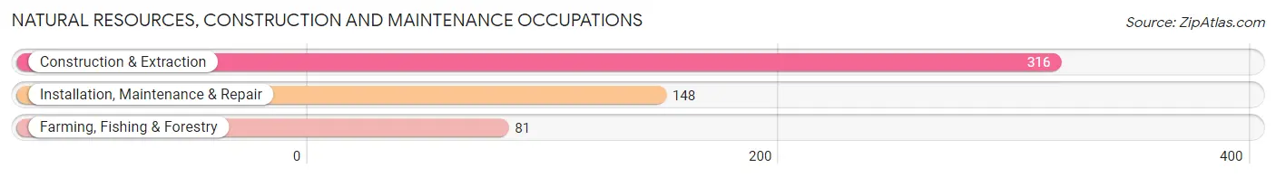 Natural Resources, Construction and Maintenance Occupations in Webster County