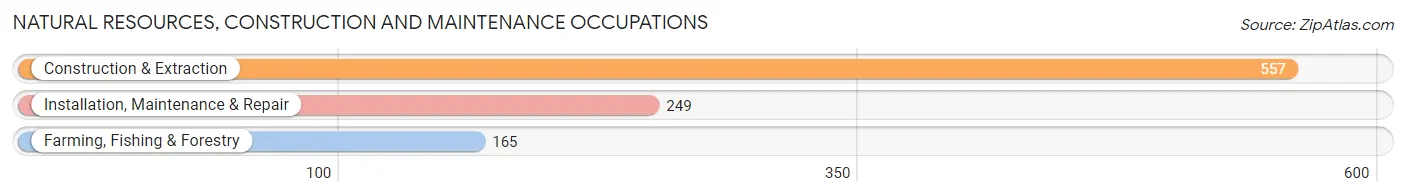 Natural Resources, Construction and Maintenance Occupations in Big Horn County