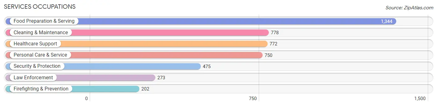 Services Occupations in Fremont County