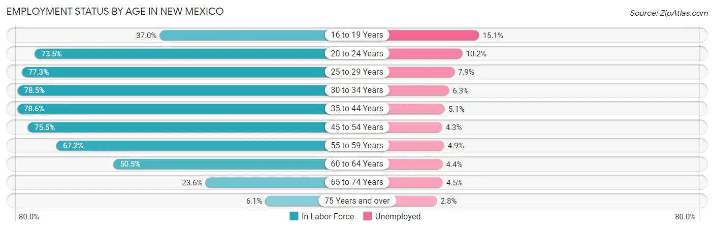 Employment Status by Age in New Mexico
