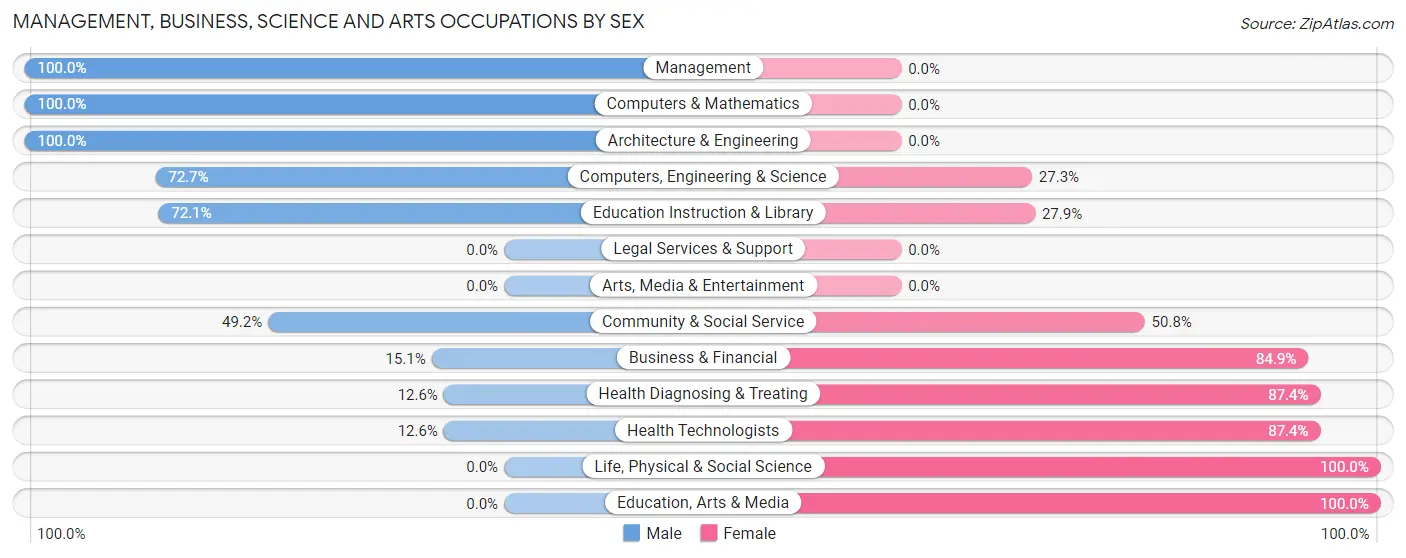 Management, Business, Science and Arts Occupations by Sex in Zip Code 00690