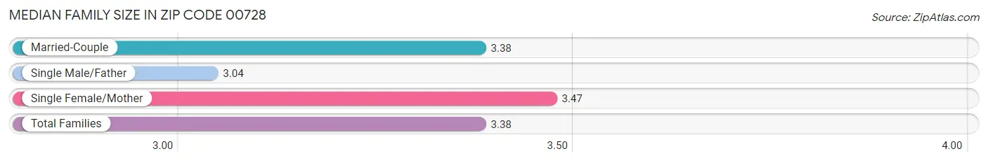 Median Family Size in Zip Code 00728