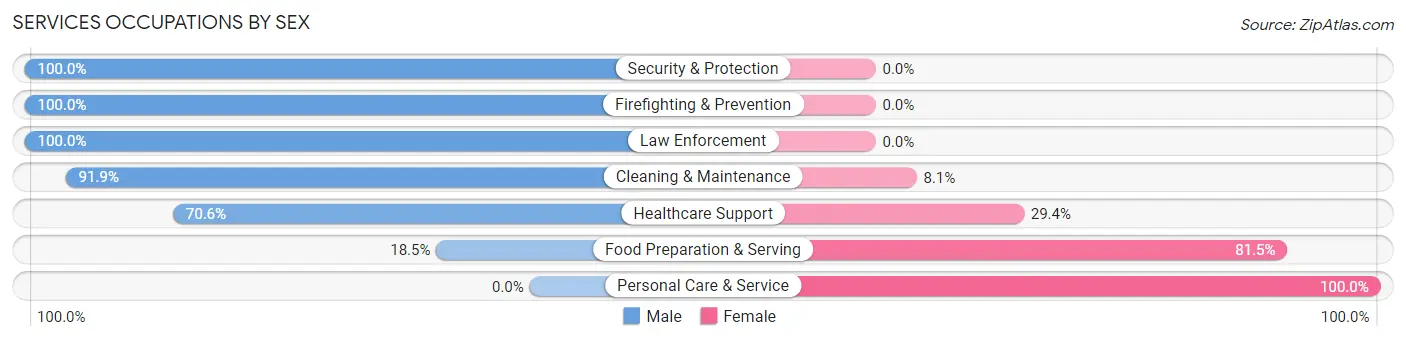 Services Occupations by Sex in Zip Code 01005