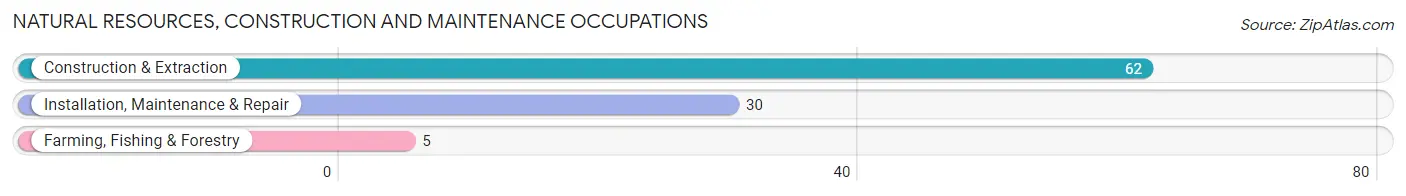 Natural Resources, Construction and Maintenance Occupations in Zip Code 01008