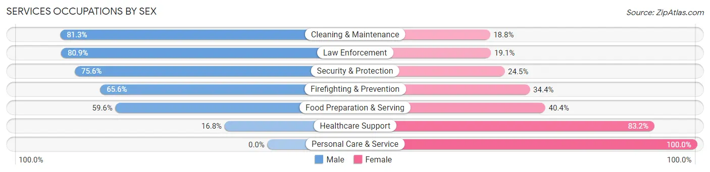 Services Occupations by Sex in Zip Code 01013