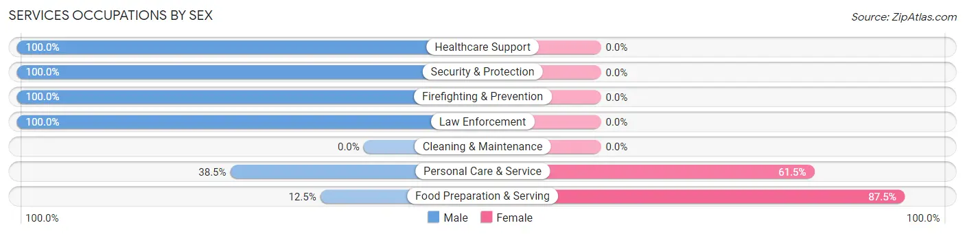 Services Occupations by Sex in Zip Code 01037