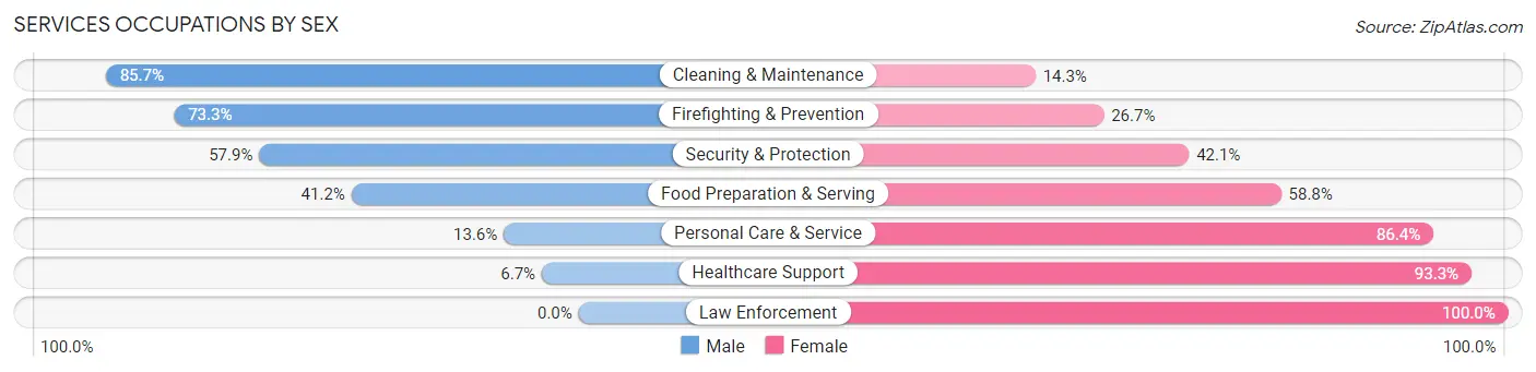 Services Occupations by Sex in Zip Code 01050