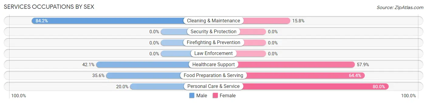 Services Occupations by Sex in Zip Code 01054
