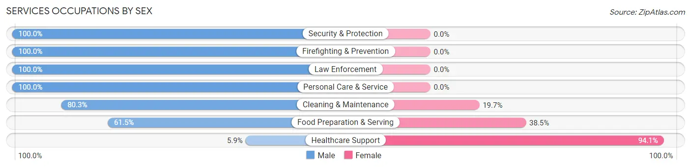 Services Occupations by Sex in Zip Code 01073