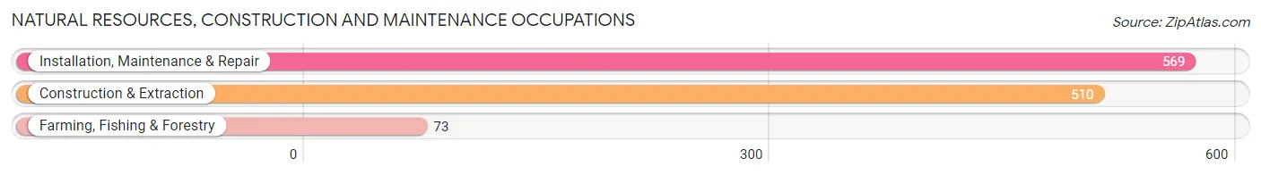 Natural Resources, Construction and Maintenance Occupations in Zip Code 01089