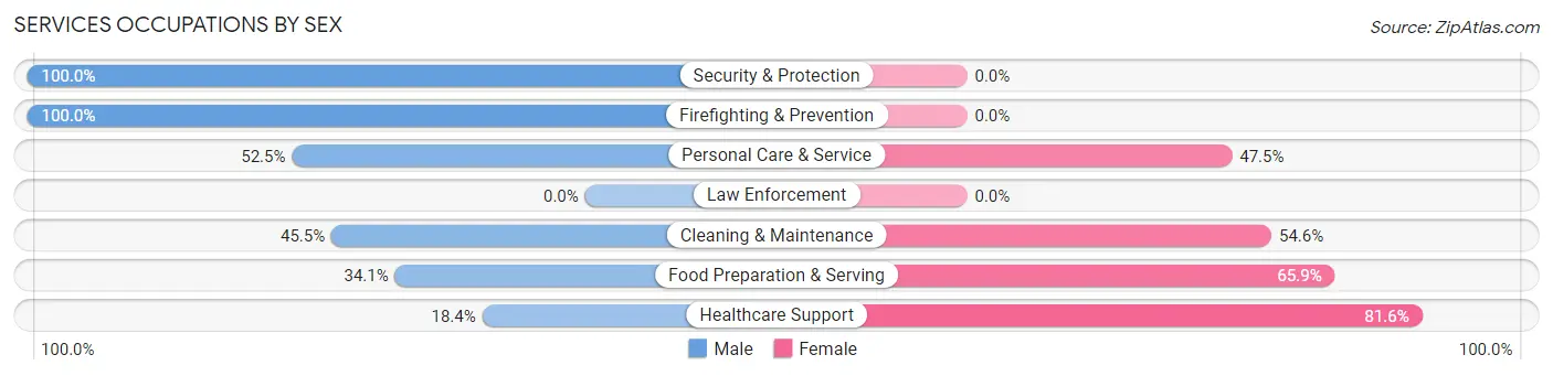 Services Occupations by Sex in Zip Code 01103