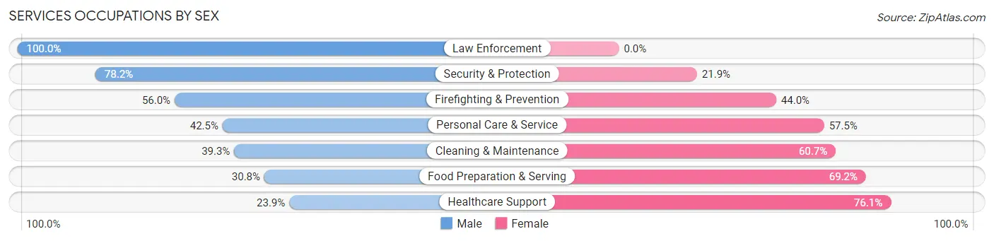 Services Occupations by Sex in Zip Code 01106