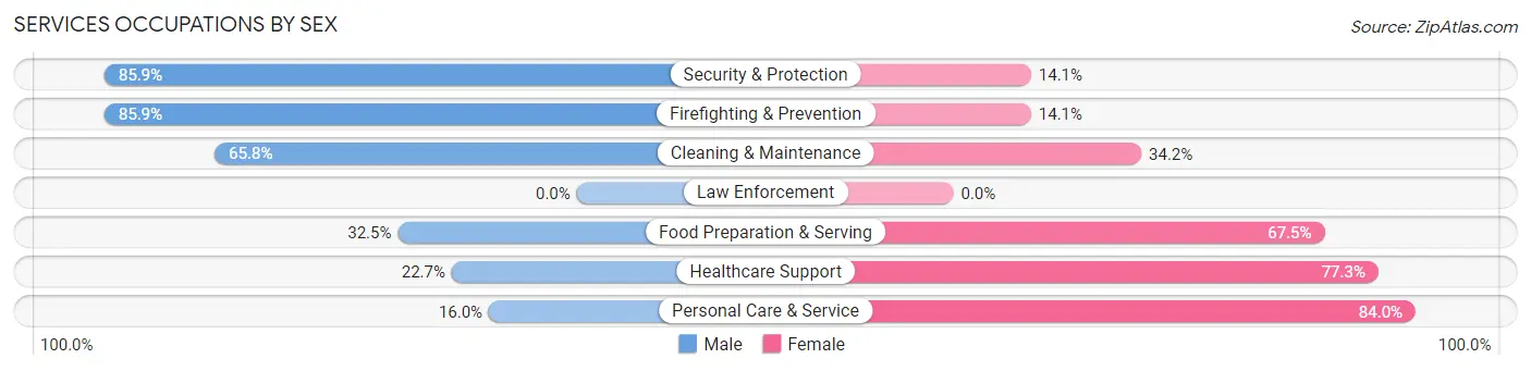 Services Occupations by Sex in Zip Code 01151