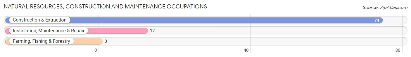 Natural Resources, Construction and Maintenance Occupations in Zip Code 01222