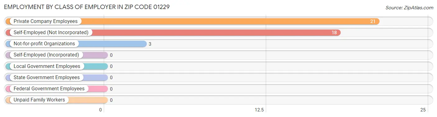 Employment by Class of Employer in Zip Code 01229