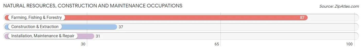 Natural Resources, Construction and Maintenance Occupations in Zip Code 01360