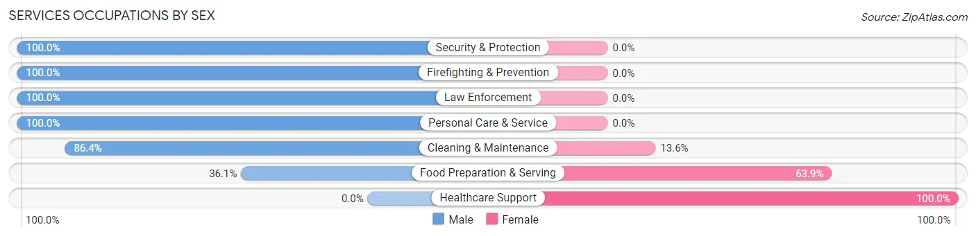 Services Occupations by Sex in Zip Code 01368