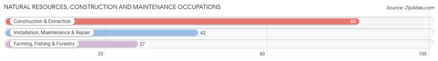 Natural Resources, Construction and Maintenance Occupations in Zip Code 01373