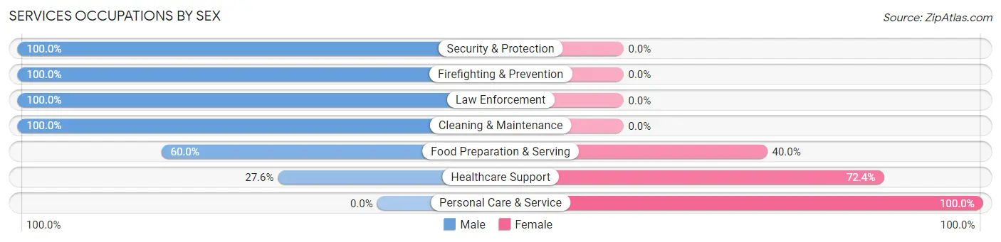 Services Occupations by Sex in Zip Code 01503