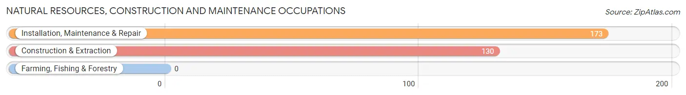 Natural Resources, Construction and Maintenance Occupations in Zip Code 01585