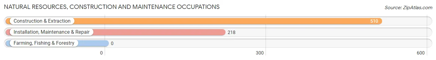 Natural Resources, Construction and Maintenance Occupations in Zip Code 01602