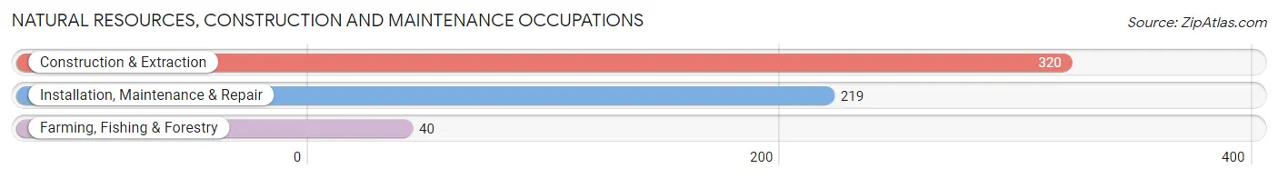 Natural Resources, Construction and Maintenance Occupations in Zip Code 01607