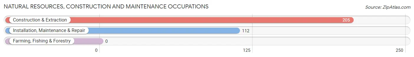 Natural Resources, Construction and Maintenance Occupations in Zip Code 01609