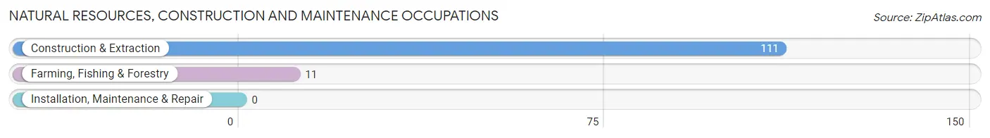 Natural Resources, Construction and Maintenance Occupations in Zip Code 01778