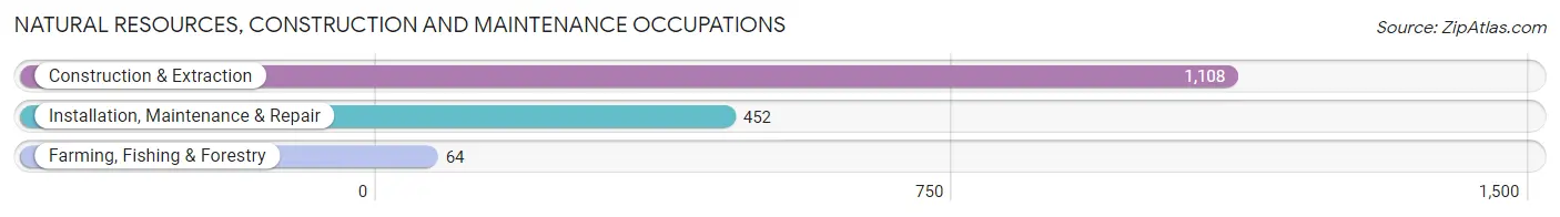 Natural Resources, Construction and Maintenance Occupations in Zip Code 01876