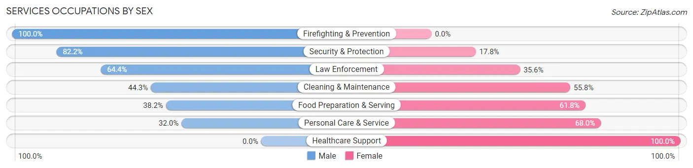 Services Occupations by Sex in Zip Code 01938