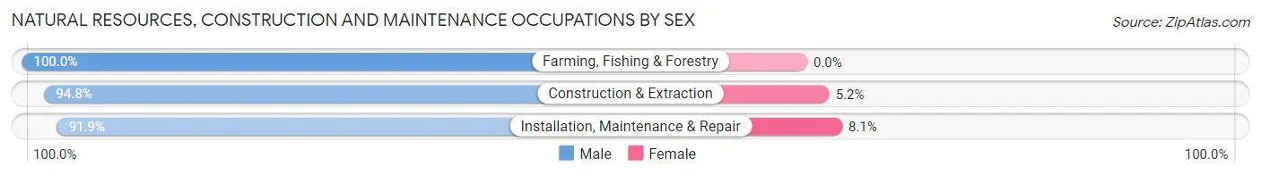 Natural Resources, Construction and Maintenance Occupations by Sex in Zip Code 01949