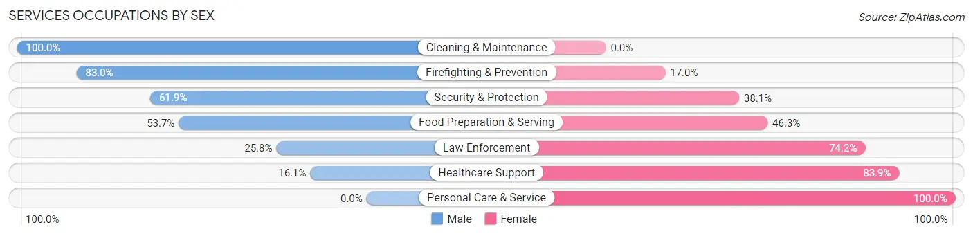 Services Occupations by Sex in Zip Code 01966
