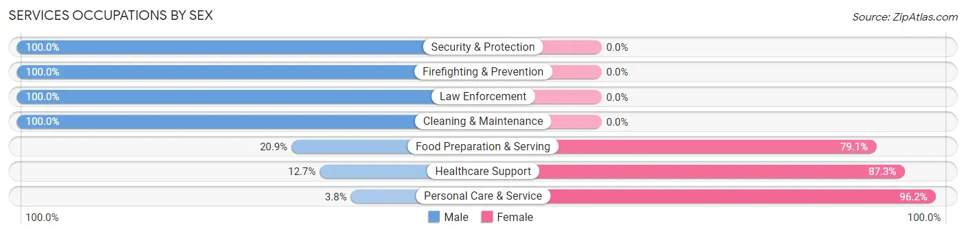 Services Occupations by Sex in Zip Code 01984
