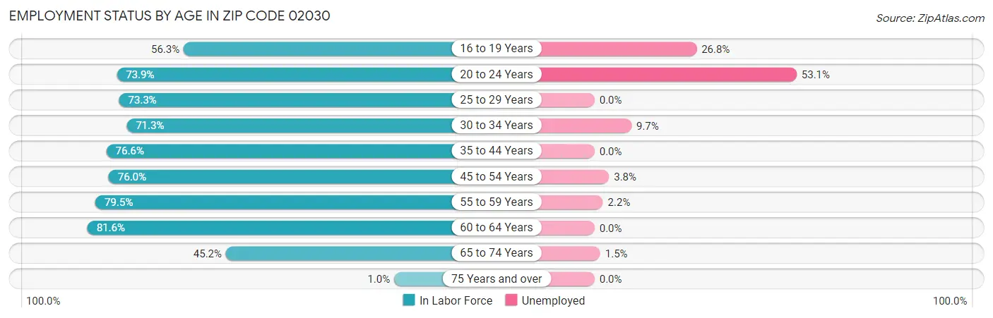 Employment Status by Age in Zip Code 02030