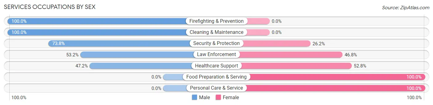 Services Occupations by Sex in Zip Code 02032