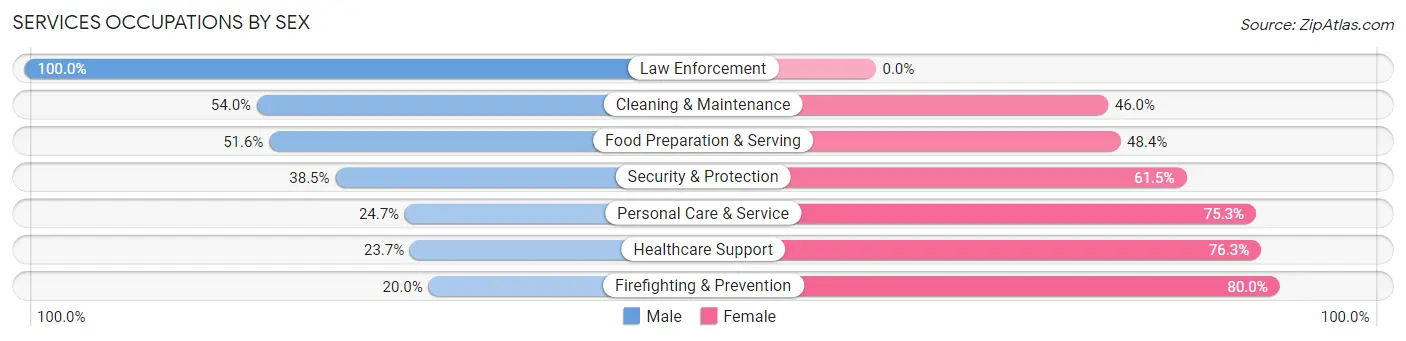 Services Occupations by Sex in Zip Code 02043