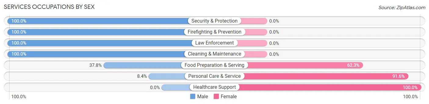 Services Occupations by Sex in Zip Code 02056