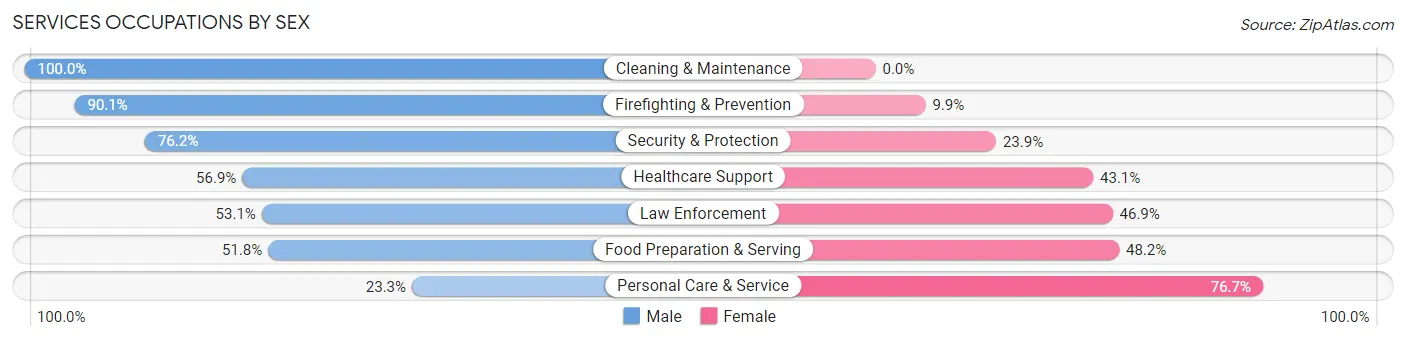 Services Occupations by Sex in Zip Code 02067