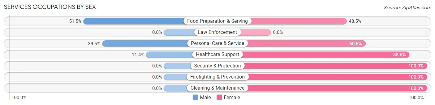Services Occupations by Sex in Zip Code 02111