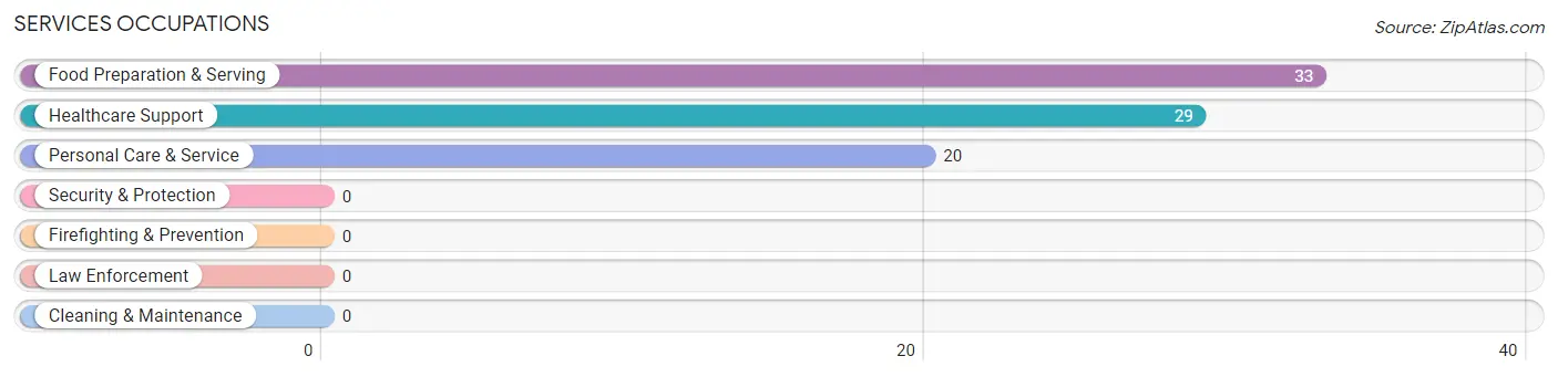 Services Occupations in Zip Code 02142