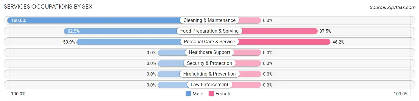 Services Occupations by Sex in Zip Code 02163