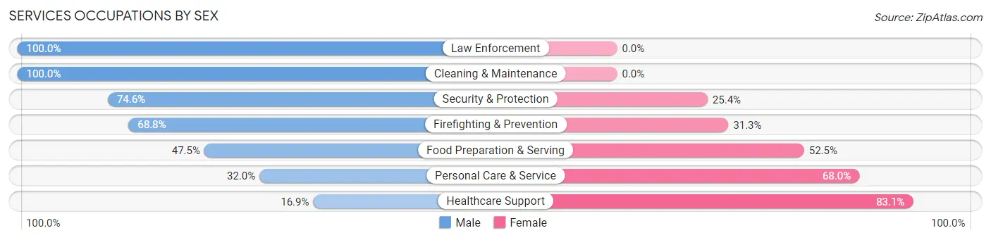 Services Occupations by Sex in Zip Code 02465