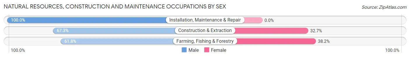 Natural Resources, Construction and Maintenance Occupations by Sex in Zip Code 02474
