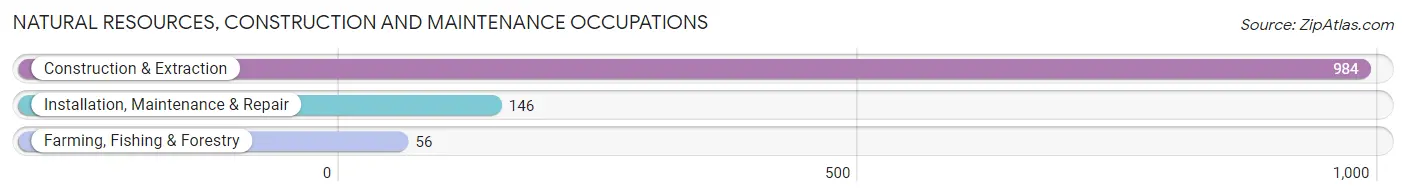 Natural Resources, Construction and Maintenance Occupations in Zip Code 02554