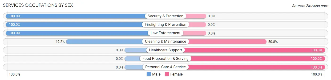 Services Occupations by Sex in Zip Code 02568