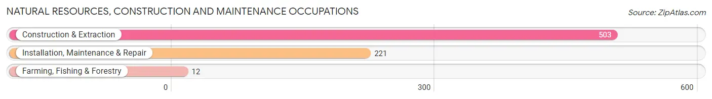 Natural Resources, Construction and Maintenance Occupations in Zip Code 02645