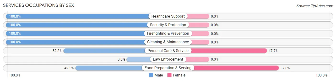 Services Occupations by Sex in Zip Code 02653