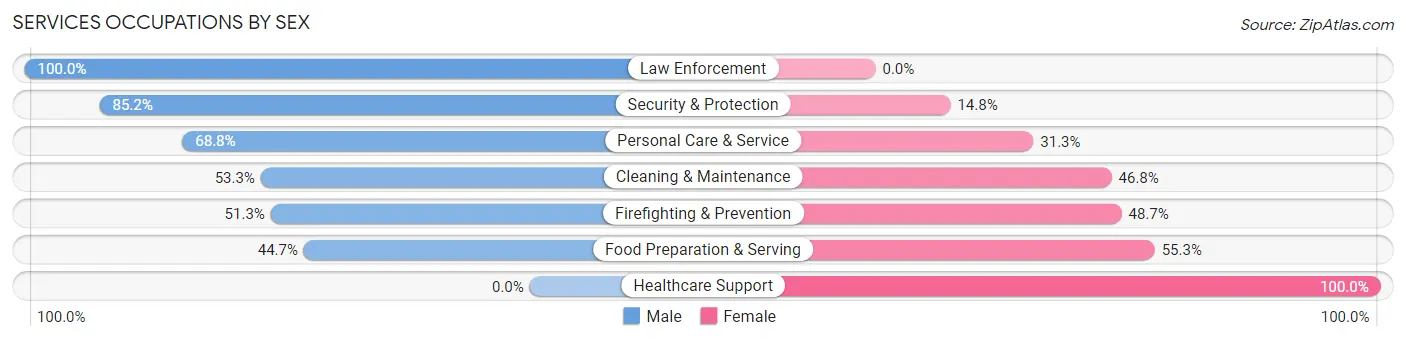 Services Occupations by Sex in Zip Code 02673