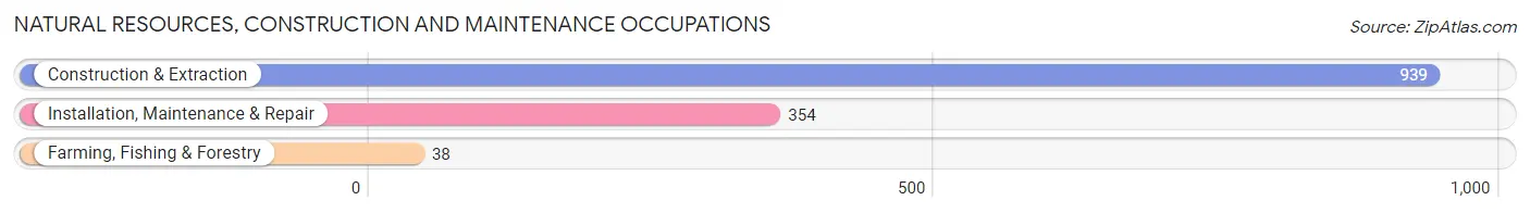 Natural Resources, Construction and Maintenance Occupations in Zip Code 02721